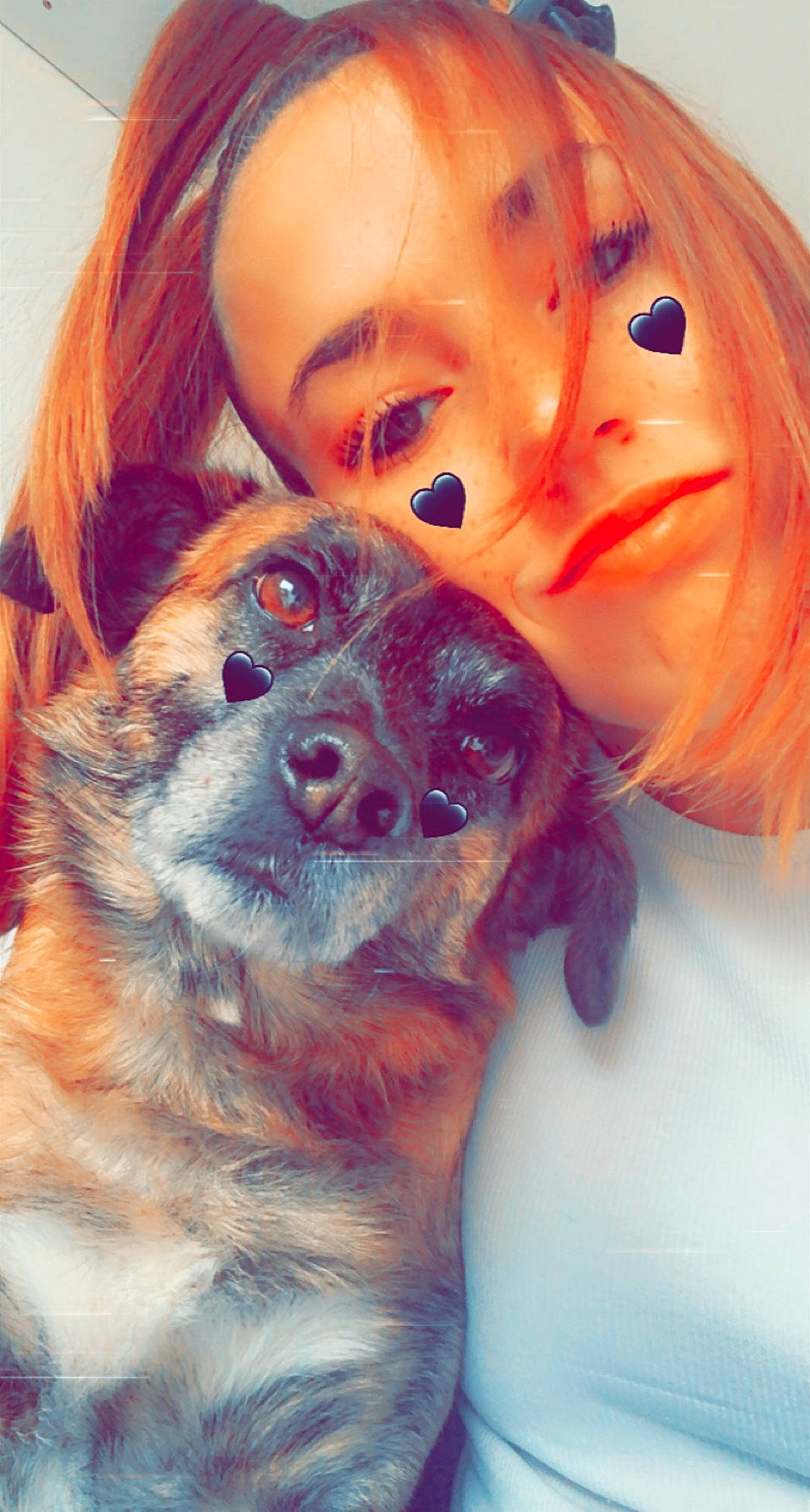 Musky a rejoint le concours — aidez-le/la à gagner de superbes lots ! canidae, carnivore, companion_dog, dog, dog_breed, eyelash, fawn, fun, fur, gesture, happy, love, nose, organ, red_hair, selfie, smile, snout, toy, wig