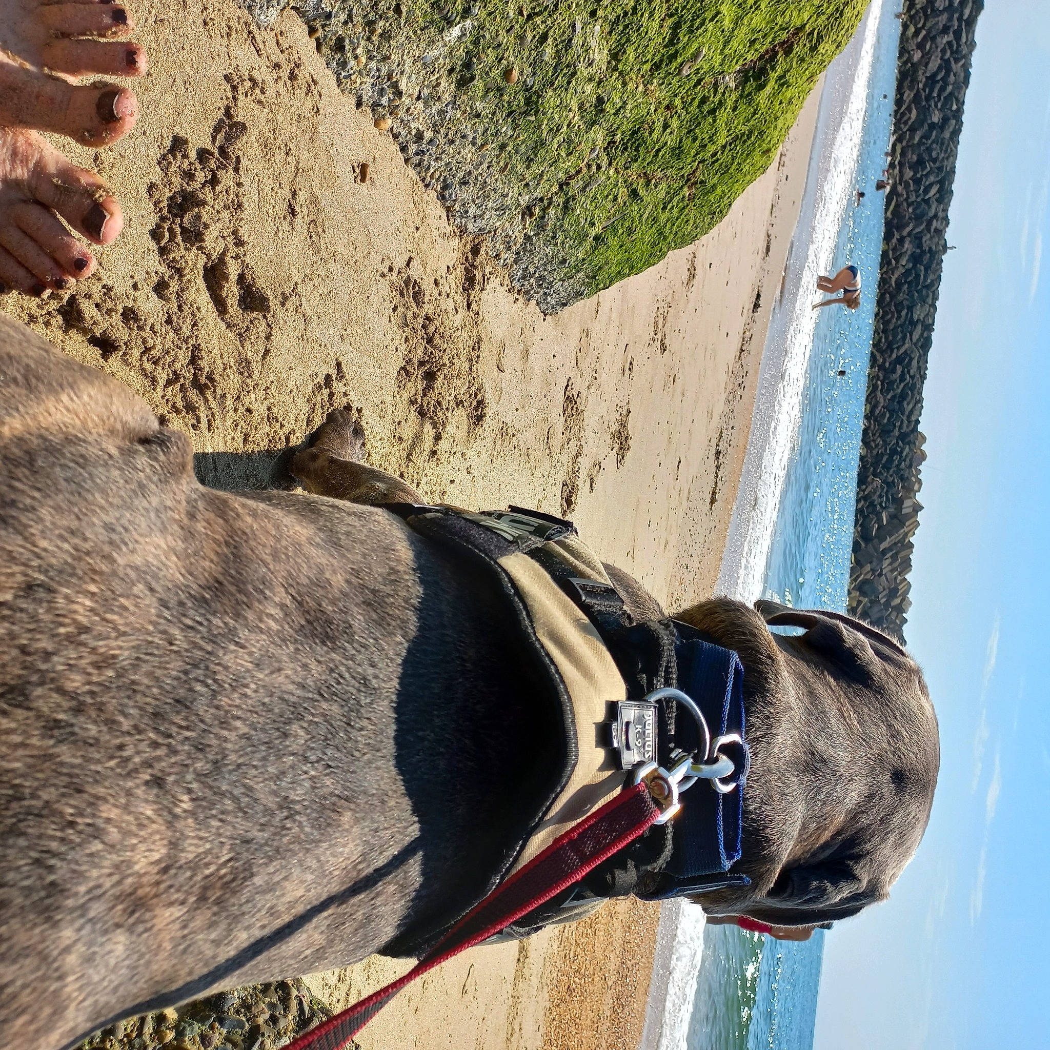 Pako participe au concours pour gagner de l'argent avec cette photo : adventure, beak, boats_and_boating_equipment_and_supplies, horse_tack, landscape, pack_animal, personal_protective_equipment, plant, recreation, rope, sculpture, sky, slope, sport_climbing, tree, trunk, water, wind, wood, working_animal