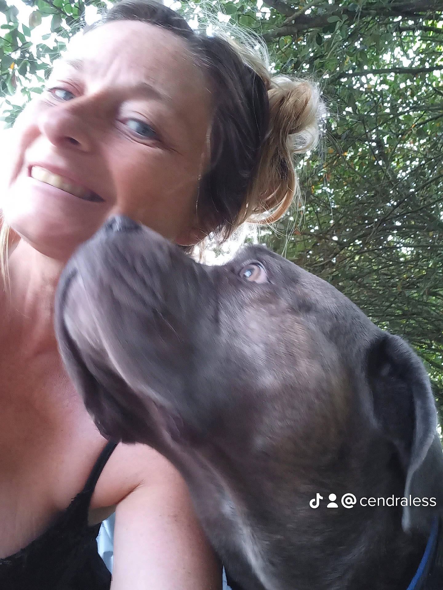 Pako a rejoint le concours — aidez-le/la à gagner de superbes lots ! canidae, carnivore, companion_dog, dog, dog_breed, ear, fawn, fun, fur, gesture, guard_dog, happy, liver, pointing_breed, recreation, smile, snout, sporting_group, tree, working_animal