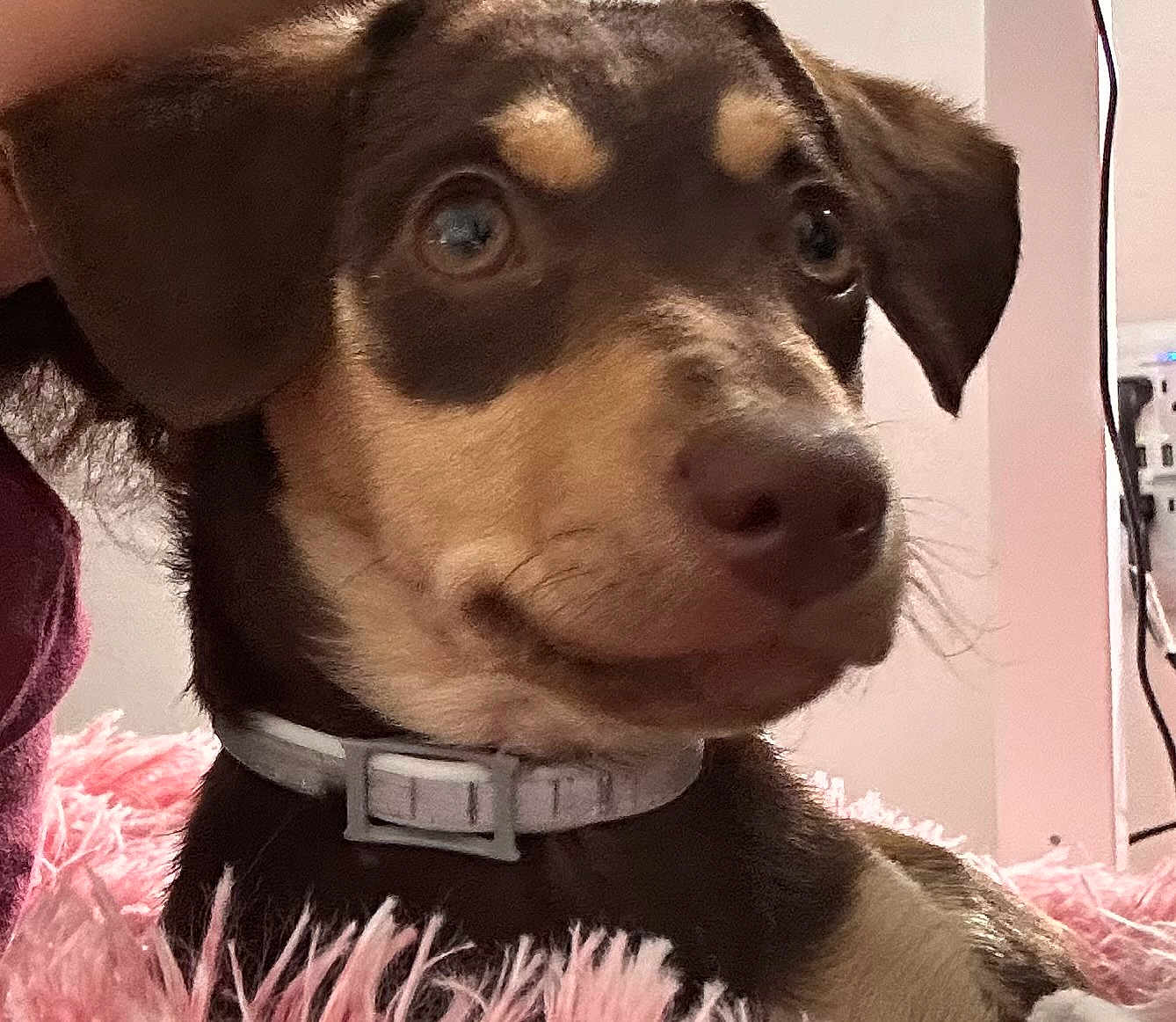 Khloe Hazel Ramirez