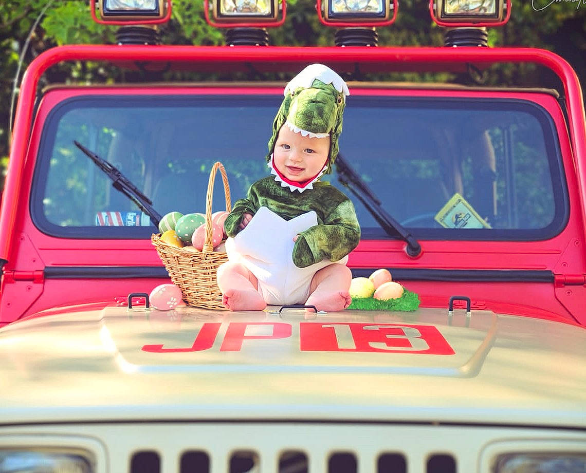 Max is registered to the contest to win money with this photo: auto_part, automotive_exterior, automotive_window_part, car, commercial_vehicle, family_car, green, hardtop, headwear, hood, jeep, joy, mode_of_transport, motor_vehicle, off_road_vehicle, person, plant, sport_utility_vehicle, truck_driver, vehicle