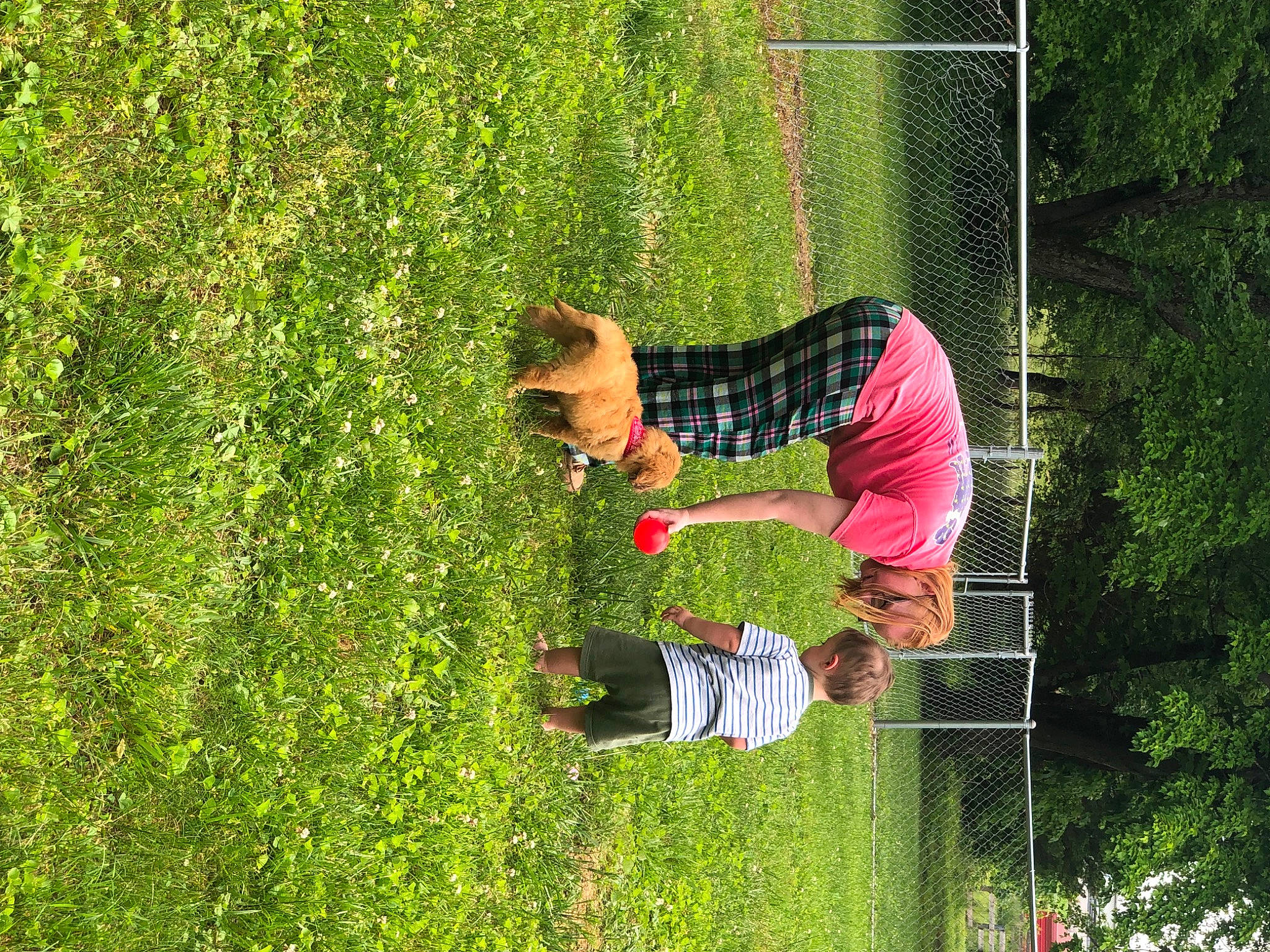 Theo is registered to the contest to win money with this photo: fun, garden, grass, grass_family, grassland, green, happy, landscape, lawn, leisure, mesh, net, pasture, people_in_nature, plant, recreation, shrub, tree, vegetation, yard