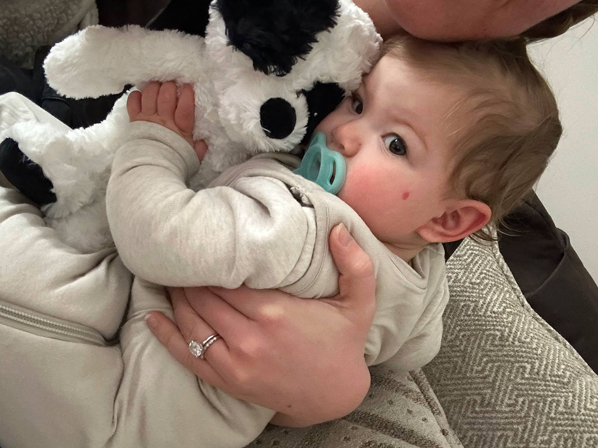 Cove joined the competition — help win amazing prizes! baby, cheek, child, comfort, ear, event, finger, fun, fur, gesture, hand, happy, hug, nose, person, plush, stuffed_toy, teddy_bear, thumb, toddler
