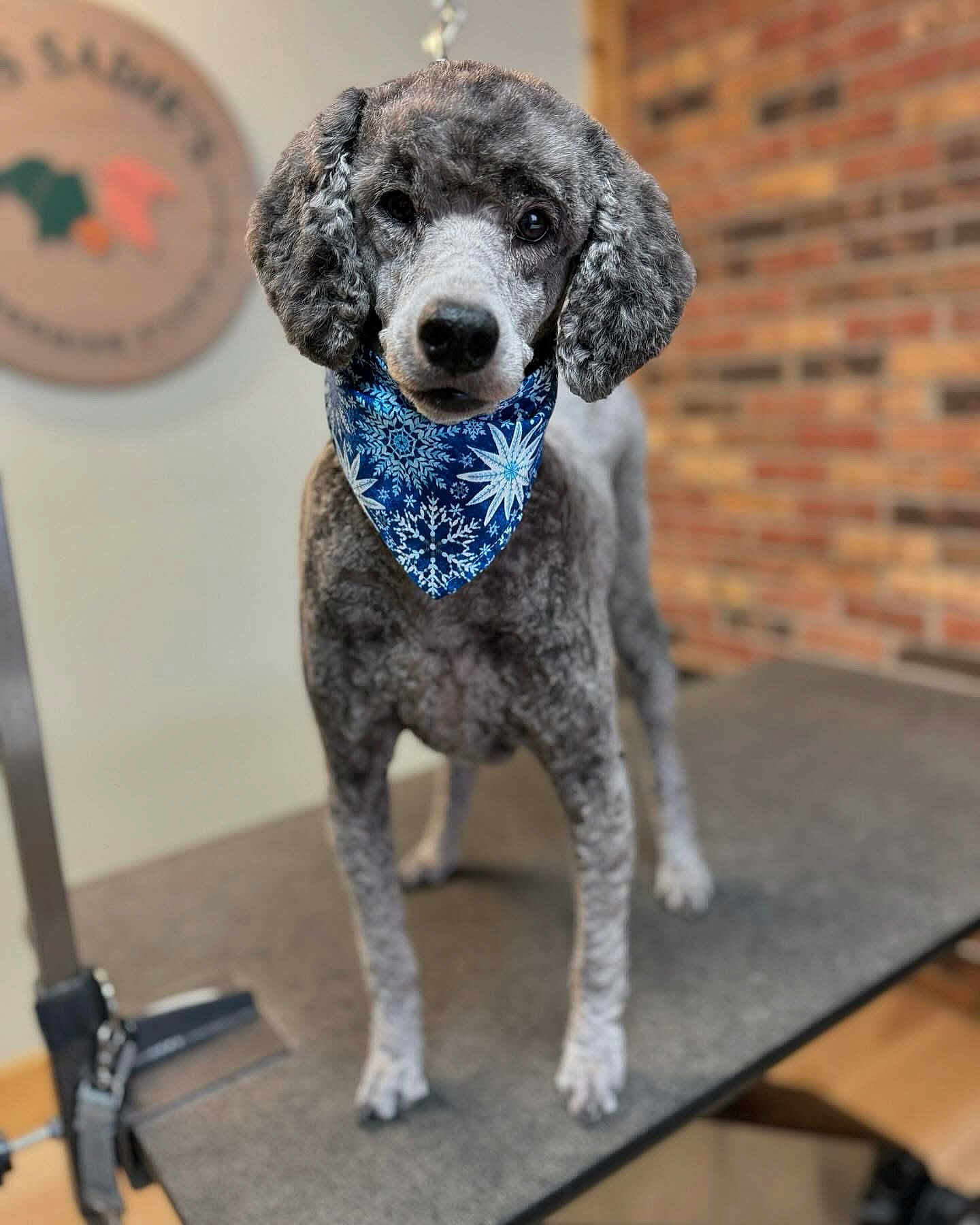Remy