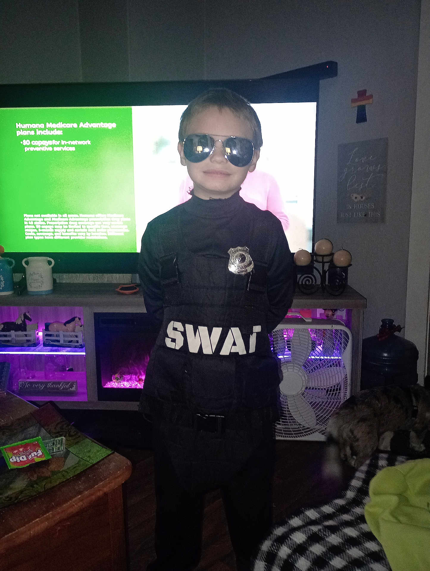 Christopher is registered to the contest to win money with this photo: child, costume, swat, sunglasses, badge, indoor, television, furniture, dog, wood_floor, fan, decor, table, blanket, person, black_clothing, smile, living_room, toy_horses, household