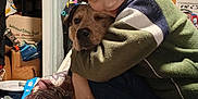 Christopher is registered to the contest to win money with this photo: animal, blanket, boy, candid, casual_clothing, child, comfort, cozy, dog, face, friendship, furniture, happy, home, hug, indoor, paw, pet, smile, sweater