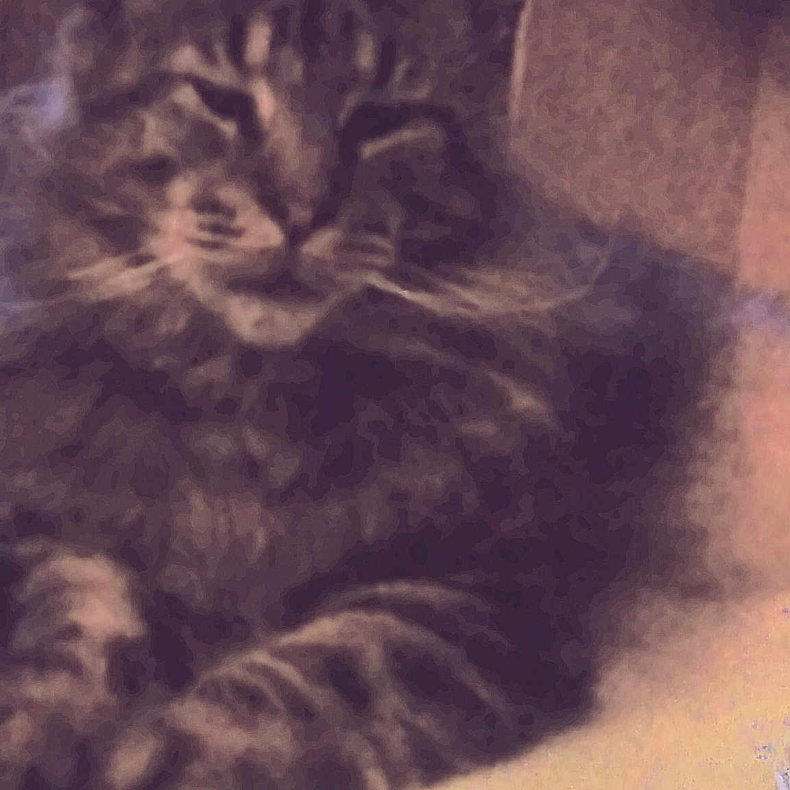 Max