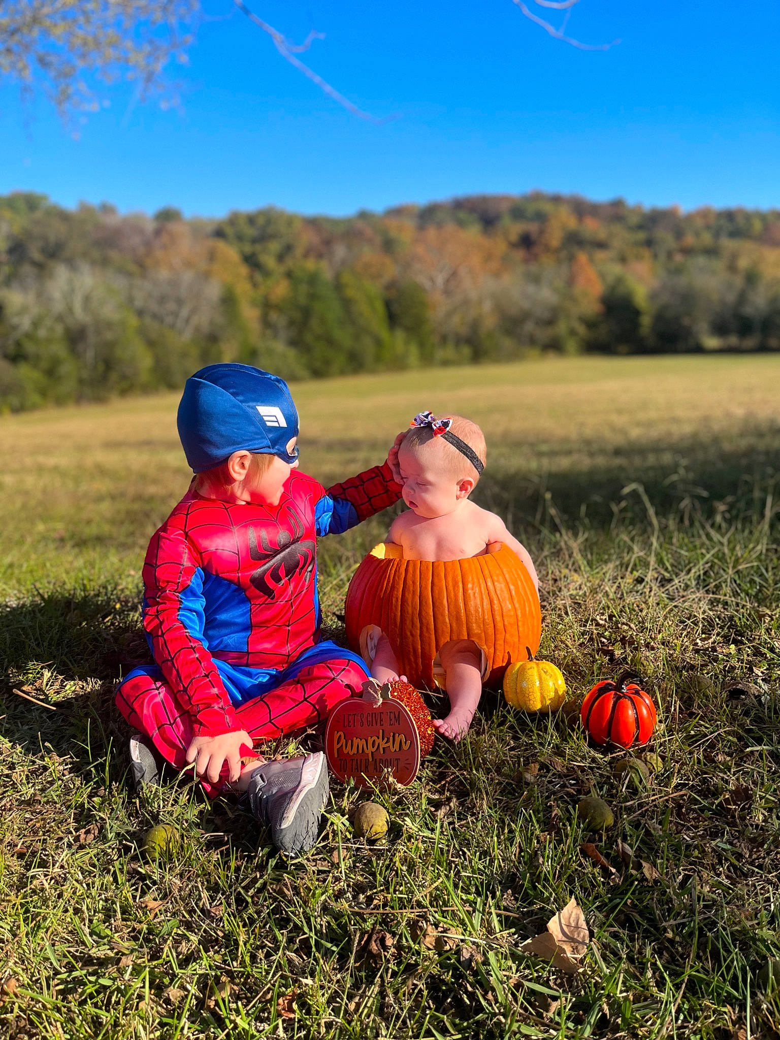 Jackson joined the competition — help win amazing prizes! calabaza, cucurbita, gourd, grass, grassland, happy, hat, landscape, leaf, meadow, natural_foods, natural_landscape, people_in_nature, person, plant, pumpkin, sky, toddler, tree, vegetable