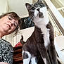 casual_clothing, cat, curious, feline, glasses, gray_cat, hair, home_interior, indoor, looking_up, low_angle, person, pet, portrait, stairs, tail, whiskers, white_paws, woman, wooden_stairs