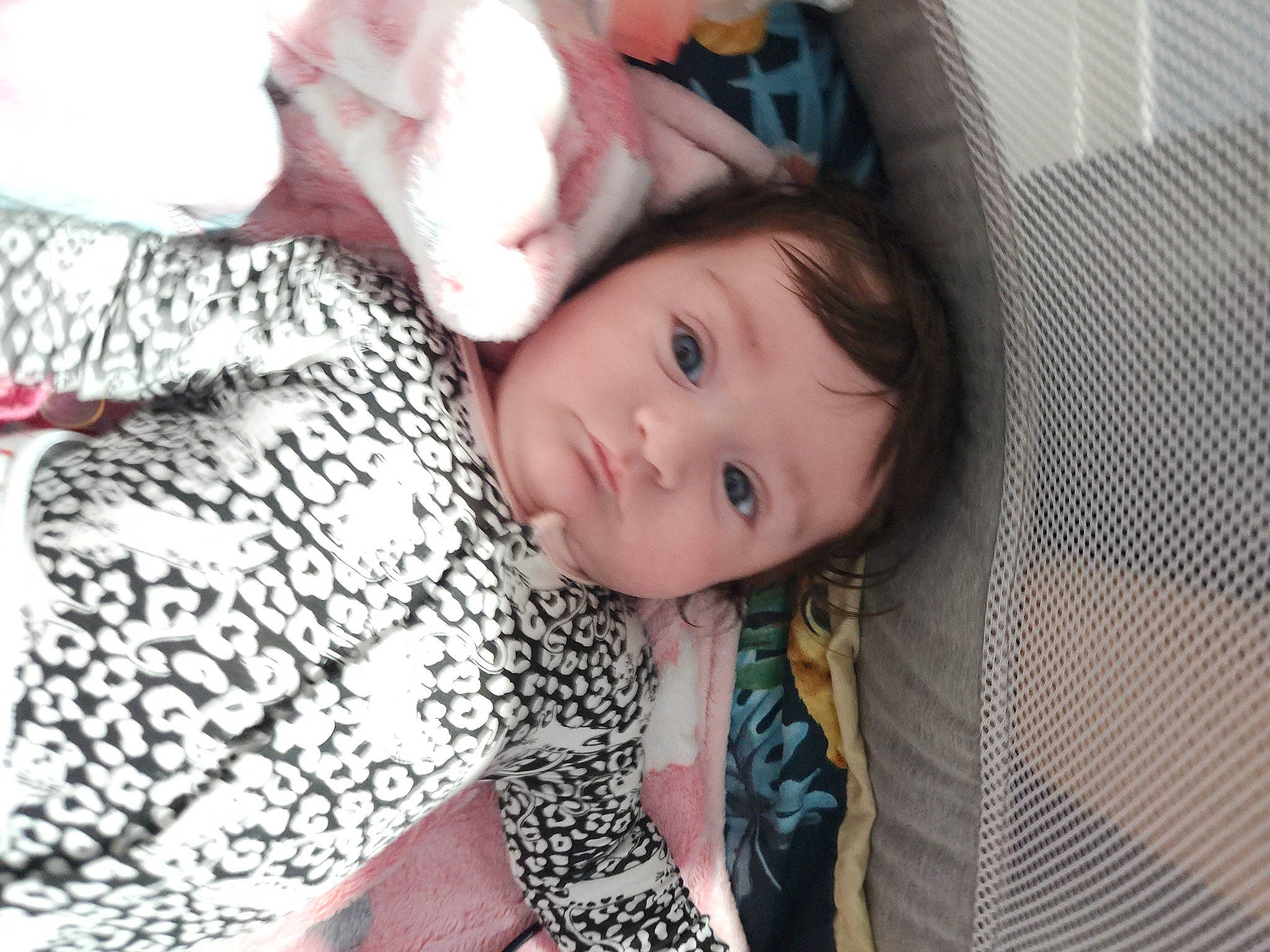 Lorianna participe au concours pour gagner de l'argent avec cette photo : baby, baby_toddler_clothing, cheek, child, comfort, fur, happy, iris, linens, nail, nap, pattern, person, portrait_photography, sitting, sleep, sleeve, thigh, thumb, toddler