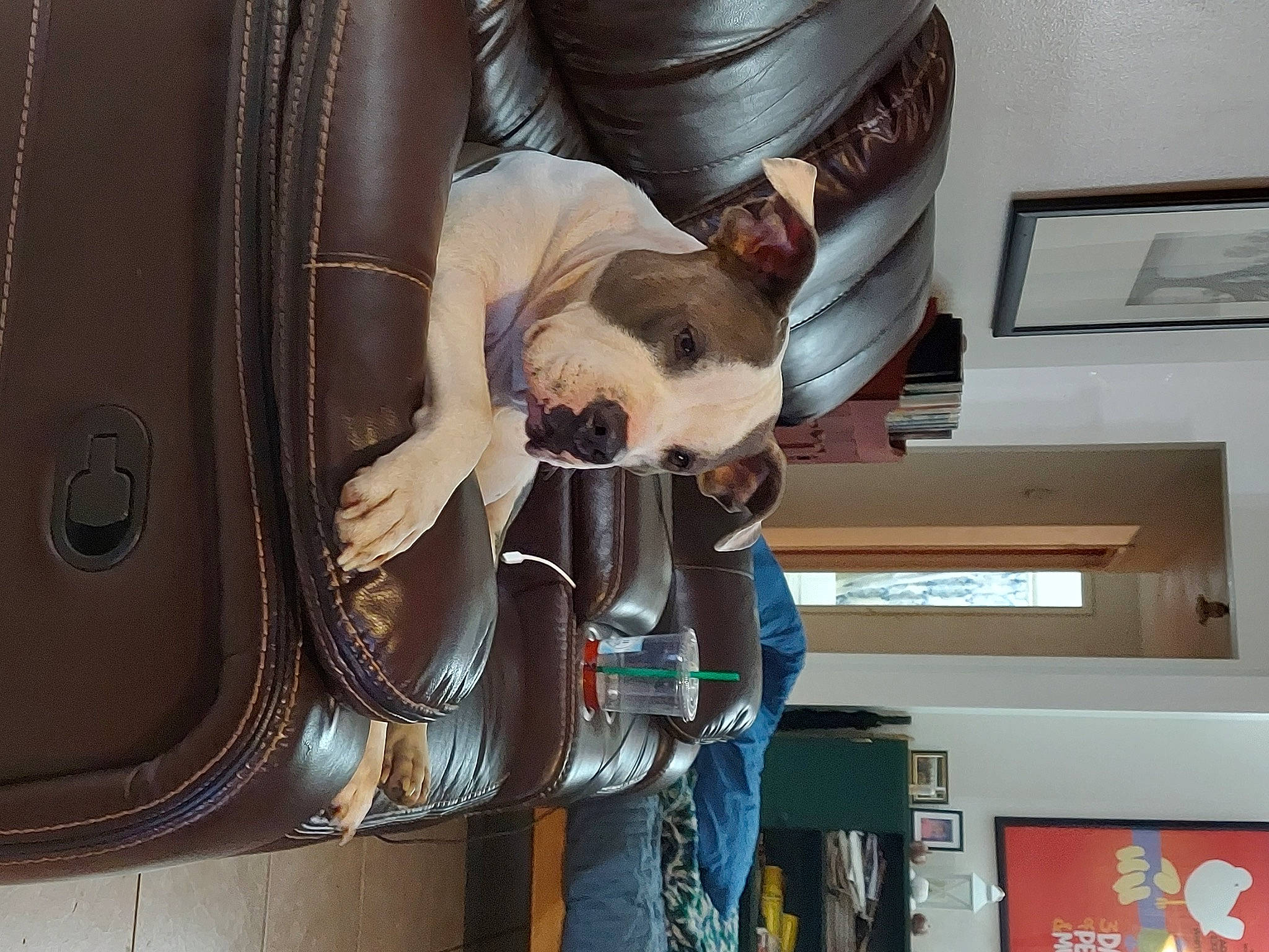 Archer is registered to the contest to win money with this photo: audio_equipment, auto_part, automotive_design, automotive_exterior, automotive_lighting, automotive_tire, automotive_wheel_system, bumper, engineering, fender, fun, gas, headlamp, hood, machine, motor_vehicle, picture_frame, room, vehicle, vehicle_door