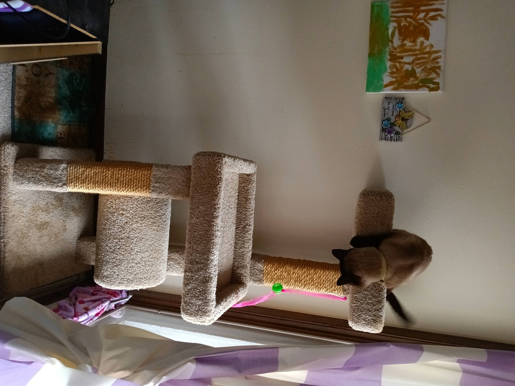 Buzzy Pierce is registered to the contest to win money with this photo: art, flooring, furniture, house, household_supply, interior_design, lamp, lampshade, lighting_accessory, line, linens, living_room, paper, rectangle, room, shelf, shelving, table, tablecloth, wood