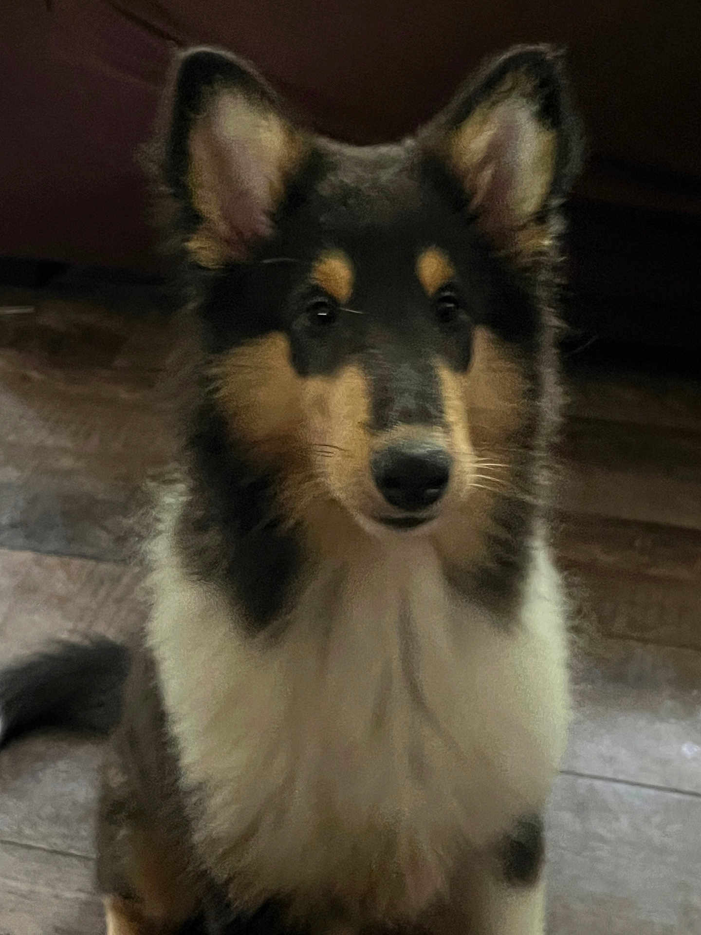 Kya