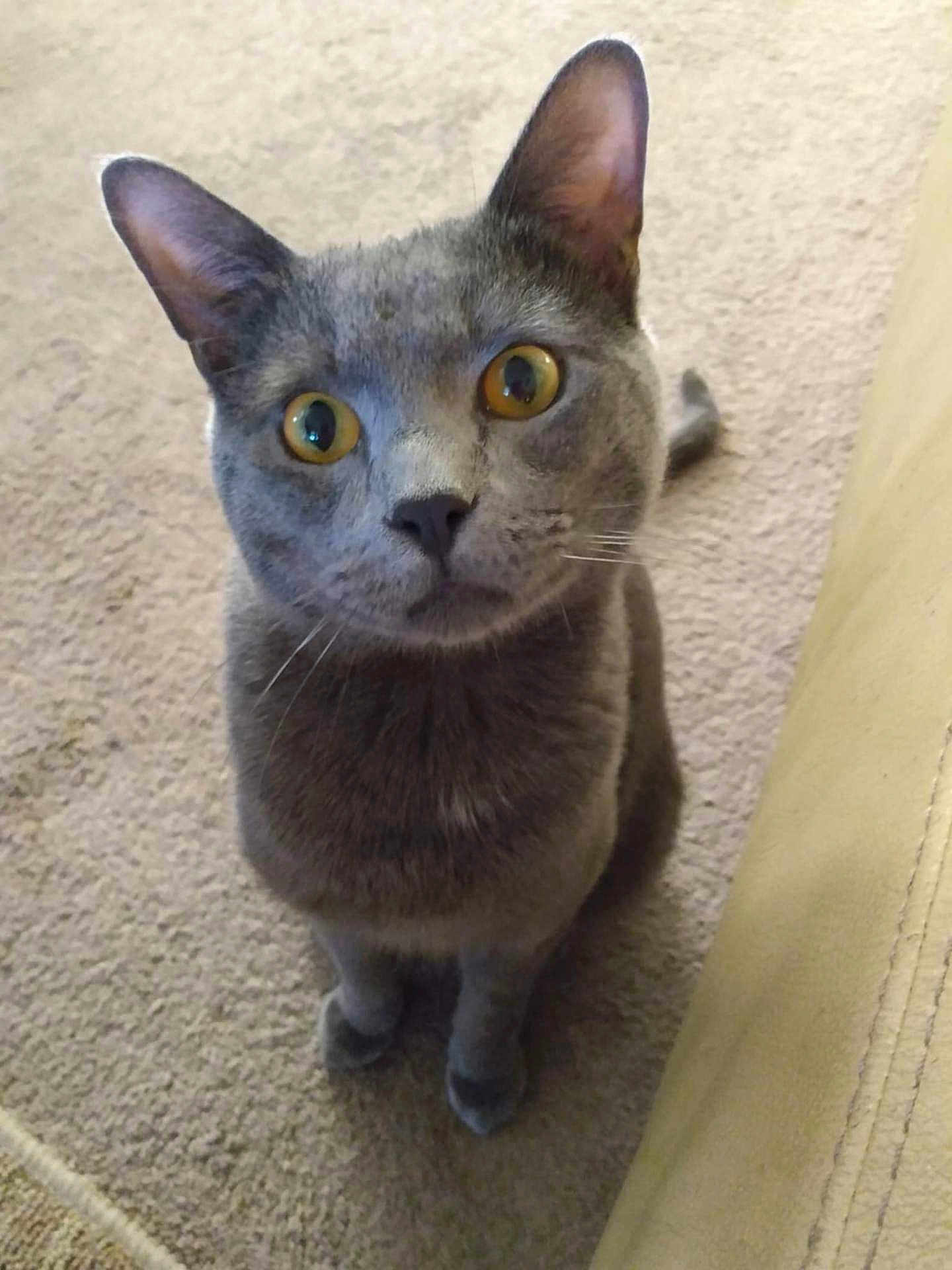 Fred