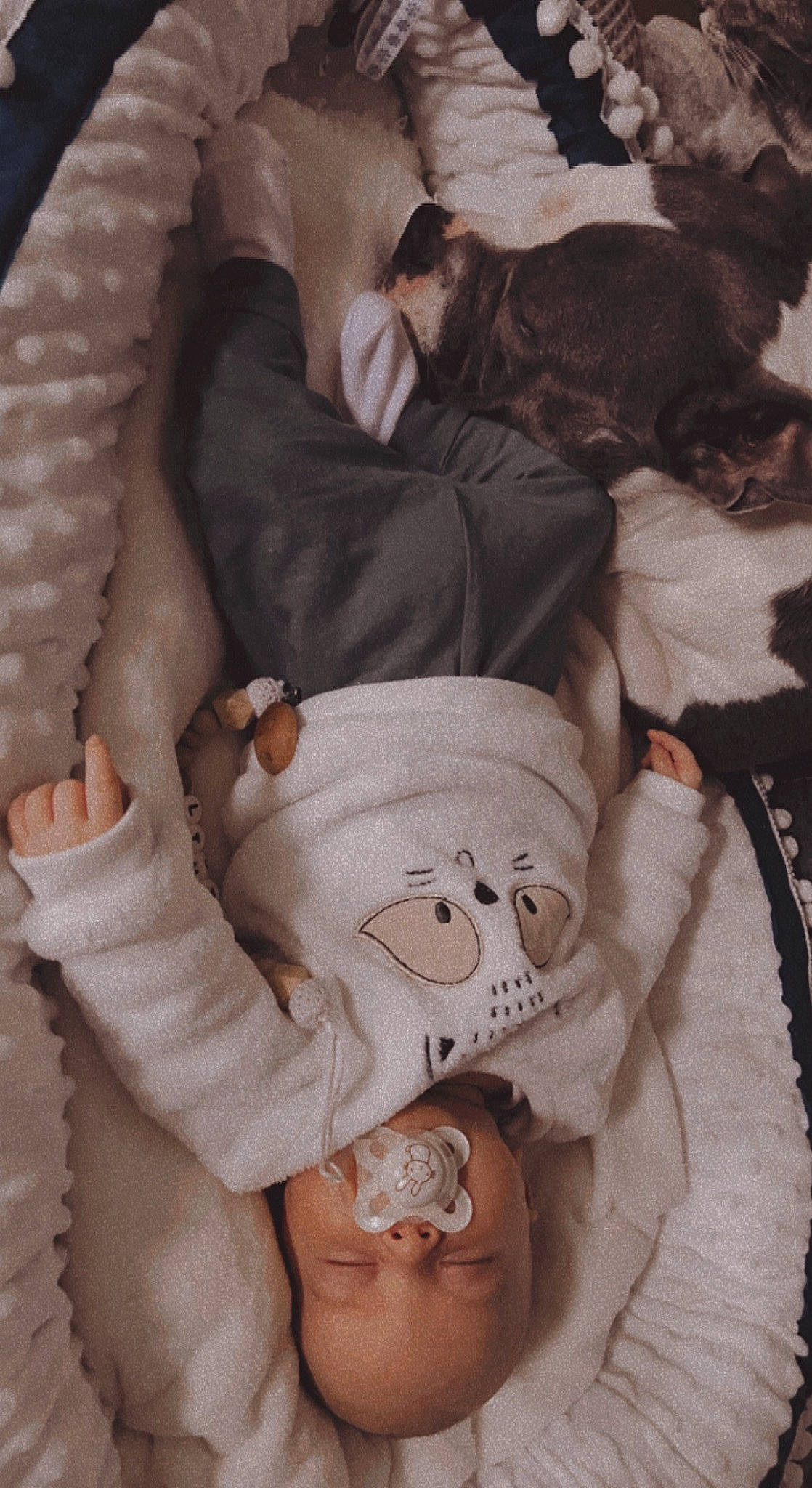 Livio a rejoint le concours — aidez-le/la à gagner de superbes lots ! abdomen, arm, baby_sleeping, chest, child, comfort, fur, gesture, hand, headgear, human_body, linens, person, skin, sleeve, textile, thigh, thumb, trunk, white