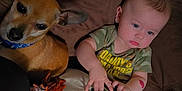 Ryker joined the competition — help win amazing prizes! animal, baby, blue_eyes, brown_couch, camouflage_shirt, casual_clothing, child, child_playing, couch, dog, furniture, green_toy, human, indoor, orange_toy, pet, plush_toy, serious_expression, toy_dinosaur, young_child