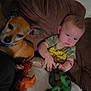 animal, baby, blue_eyes, brown_couch, camouflage_shirt, casual_clothing, child, child_playing, couch, dog, furniture, green_toy, human, indoor, orange_toy, pet, plush_toy, serious_expression, toy_dinosaur, young_child