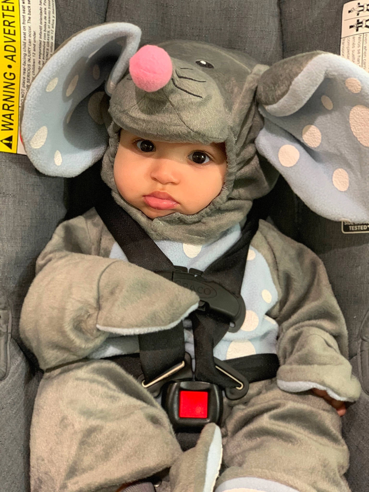 Aiyanalis is registered to the contest to win money with this photo: baby, baby_products, child, costume, person, product, toddler