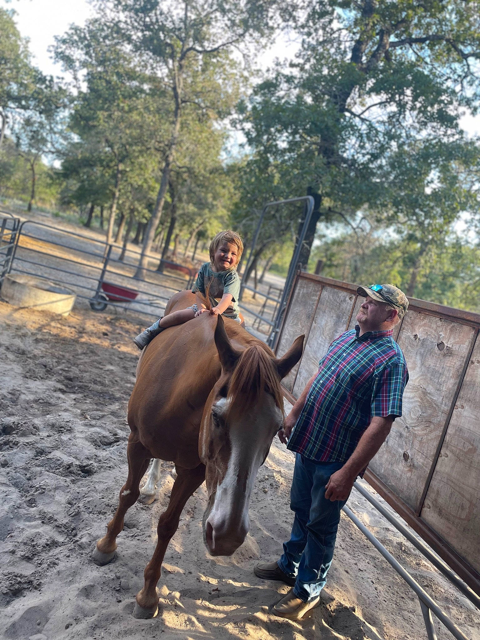 Braxton joined the competition — help win amazing prizes! bridle, equestrian_sport, equestrianism, event, hat, headwear, horse, horse_supplies, horse_tack, joy, landscape, livestock, mane, mare, pack_animal, person, recreation, rein, saddle, sky