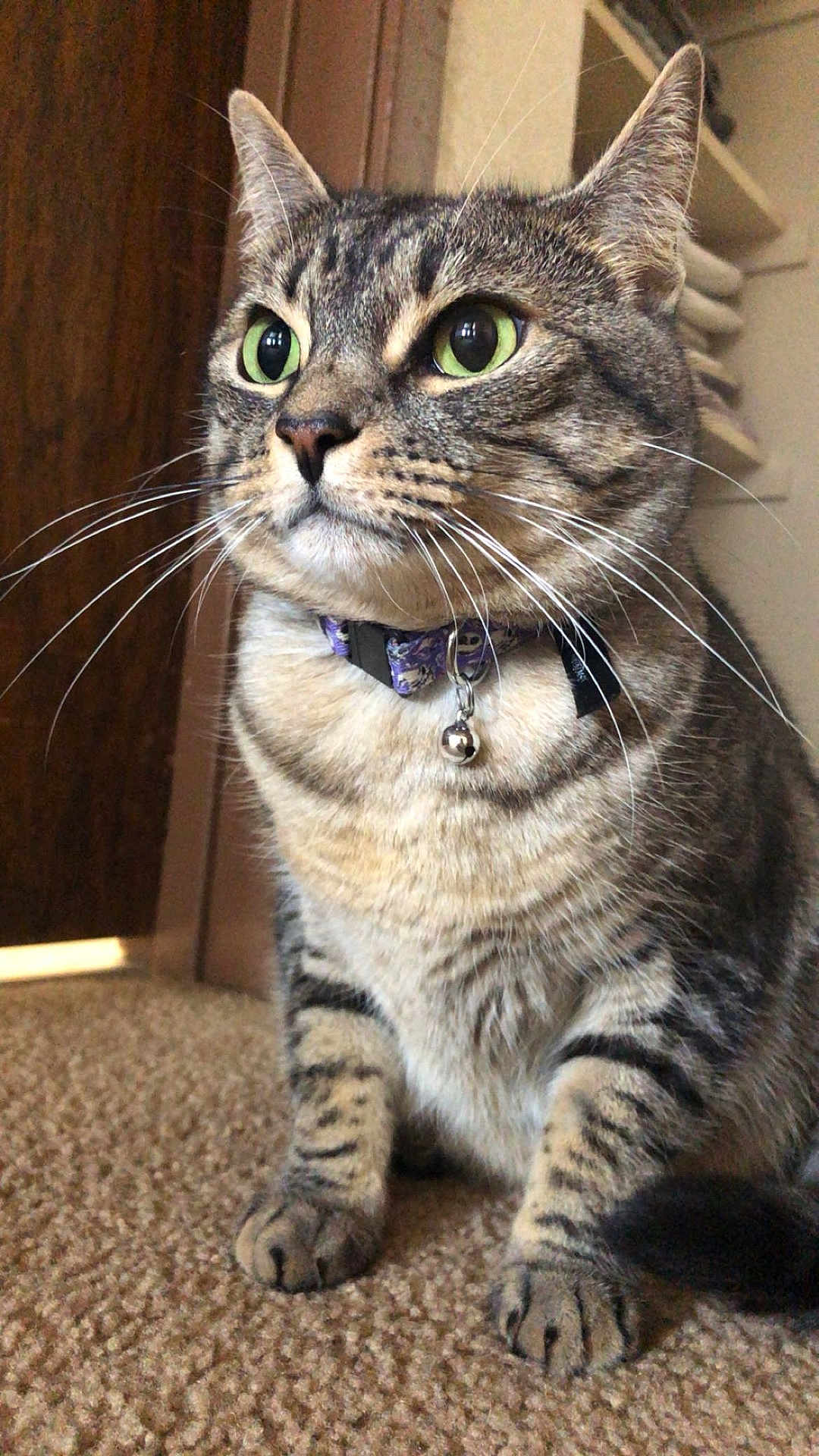Mia