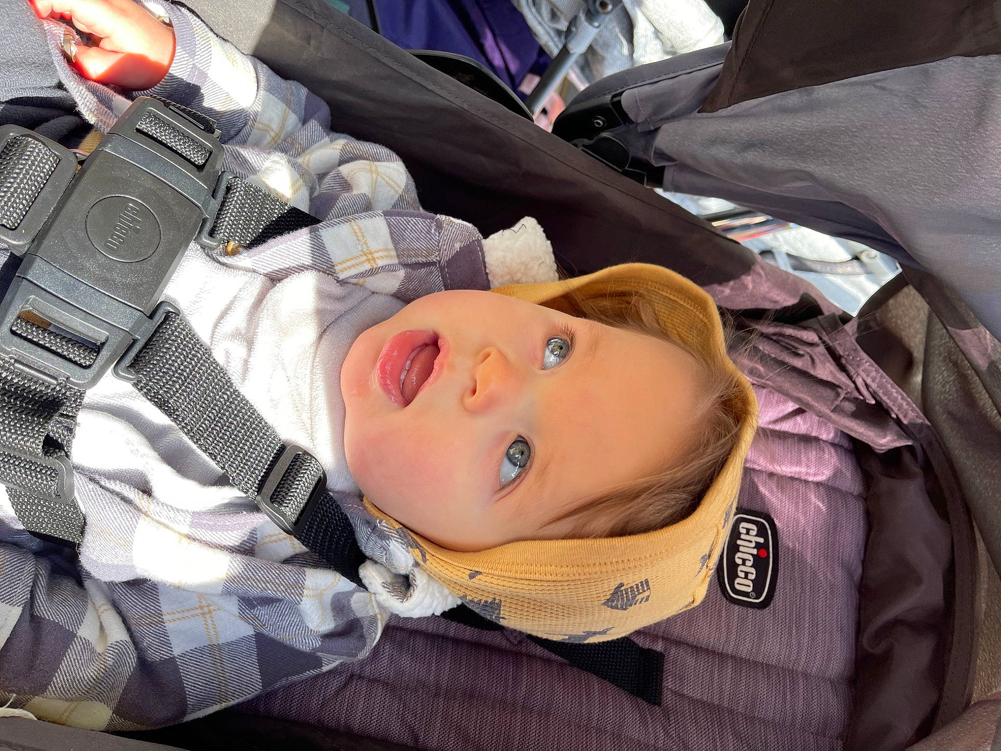 Archie joined the competition — help win amazing prizes! auto_part, automotive_design, baby, baby_carriage, baby_products, baby_toddler_clothing, car_seat, carmine, child, comfort, linens, luxury_vehicle, motor_vehicle, nap, pattern, person, sleep, sleeve, toddler, tree