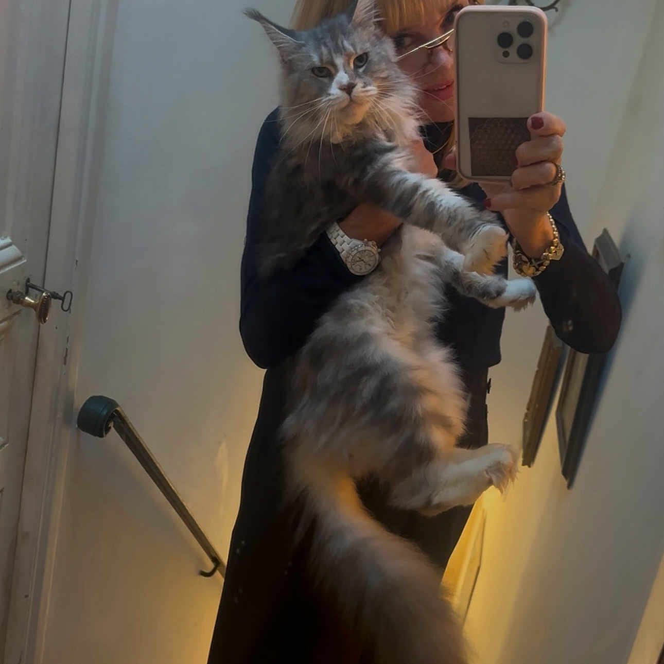 Fujyyama participe au concours pour gagner de l'argent avec cette photo : cat, long_hair, fluffy, gray_cat, pet, animal, mirror_selfie, person, woman, smartphone, portrait, indoor, home, bathroom, mirror, candle, chandelier, black_clothing, jewelry, funny_pose