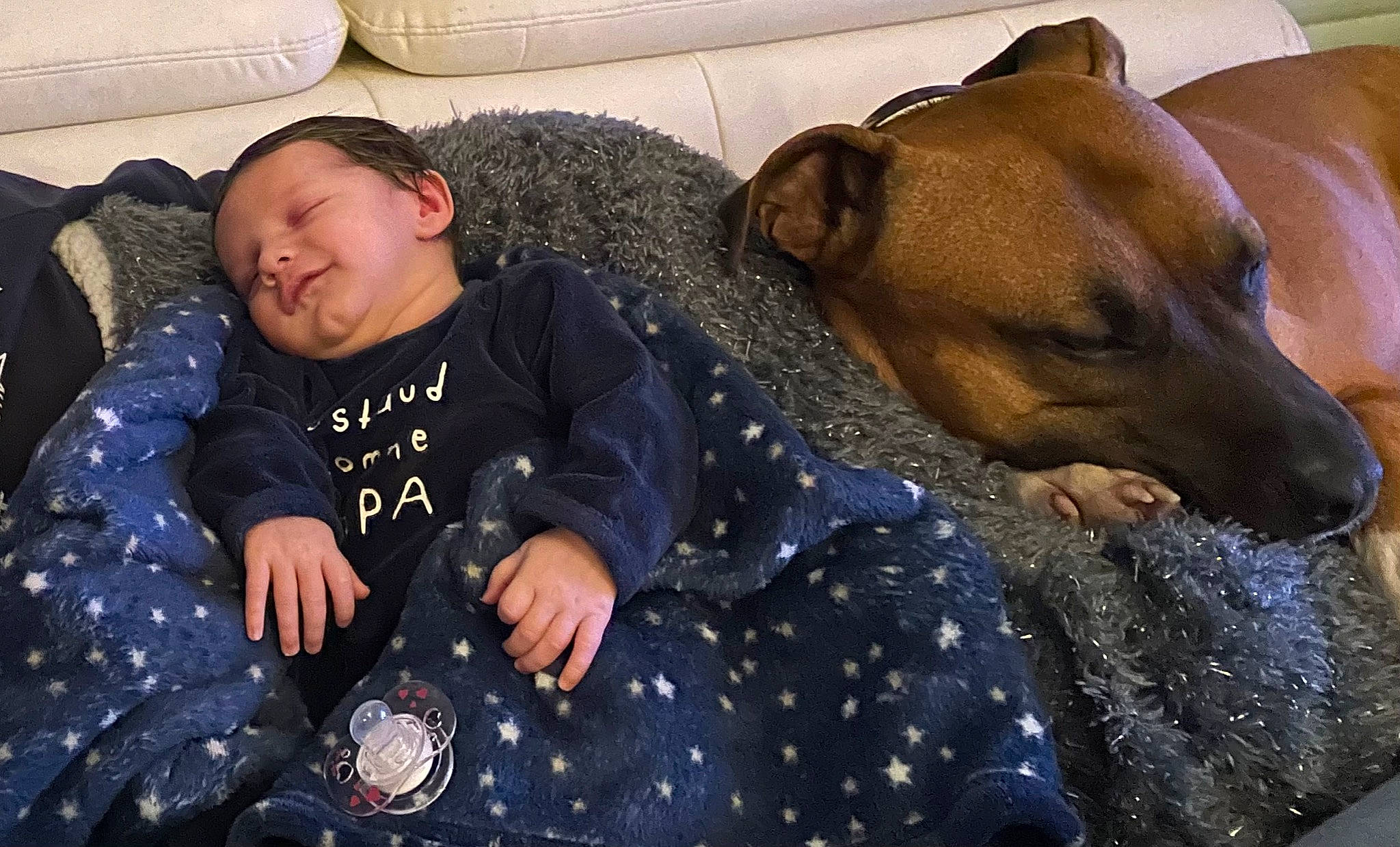 Soan a rejoint le concours — aidez-le/la à gagner de superbes lots ! baby_toddler_clothing, carnivore, comfort, companion_dog, couch, dog, dog_breed, dog_supply, fawn, fur, military_camouflage, military_uniform, nap, pattern, person, sitting, sleeve, snout, toddler, whiskers