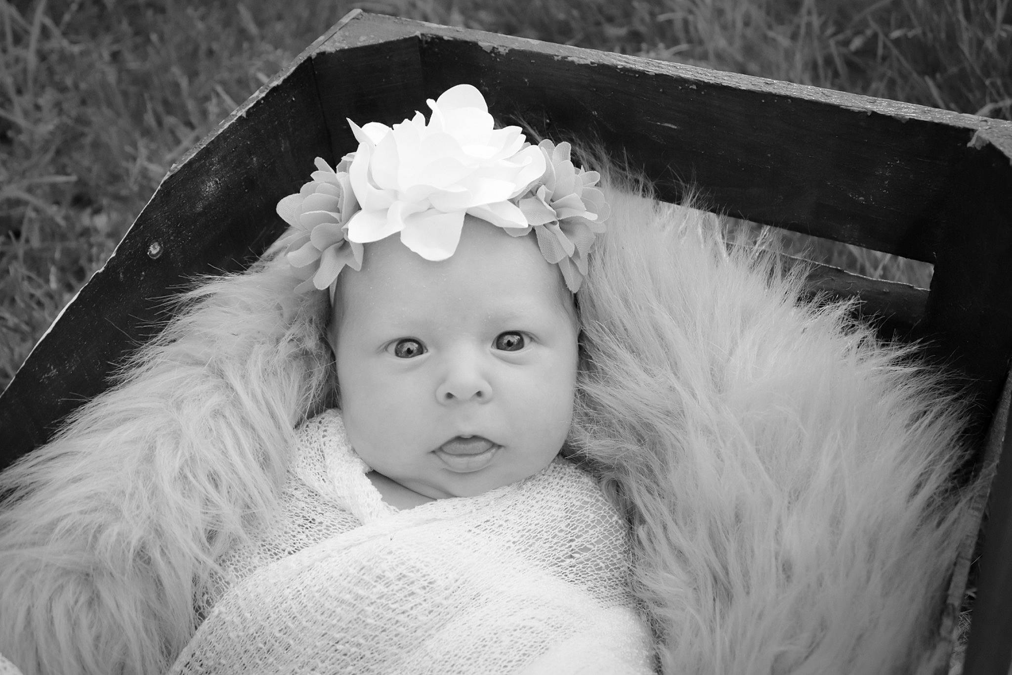 Maylynn joined the competition — help win amazing prizes! baby, black, black_and_white, eye, eyebrow, eyelash, flash_photography, flower, grass, happy, head, headgear, headwear, iris, person, petal, photograph, plant, standing, style