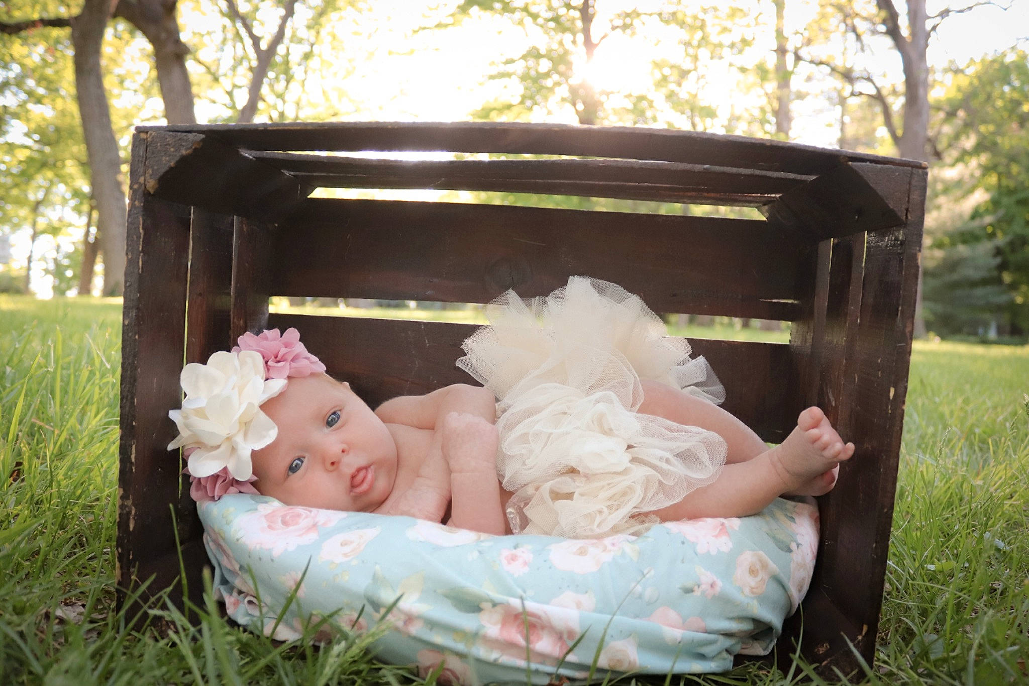 Maylynn is registered to the contest to win money with this photo: baby, car, chair, child, doll, dress, event, flash_photography, grass, grass_family, green, happy, headwear, lawn, person, plant, sitting, tints_and_shades, toddler, toy