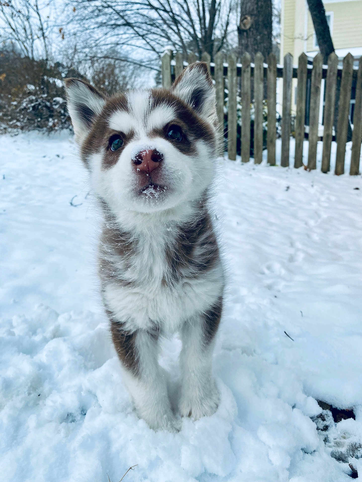 Kira