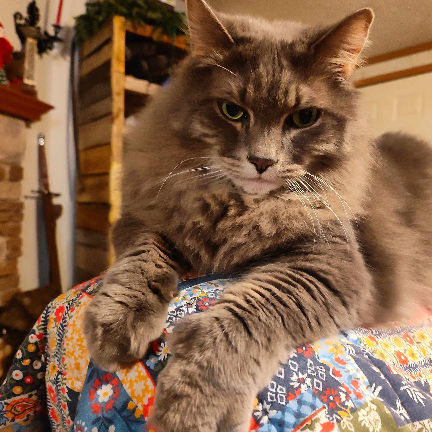 Toki
