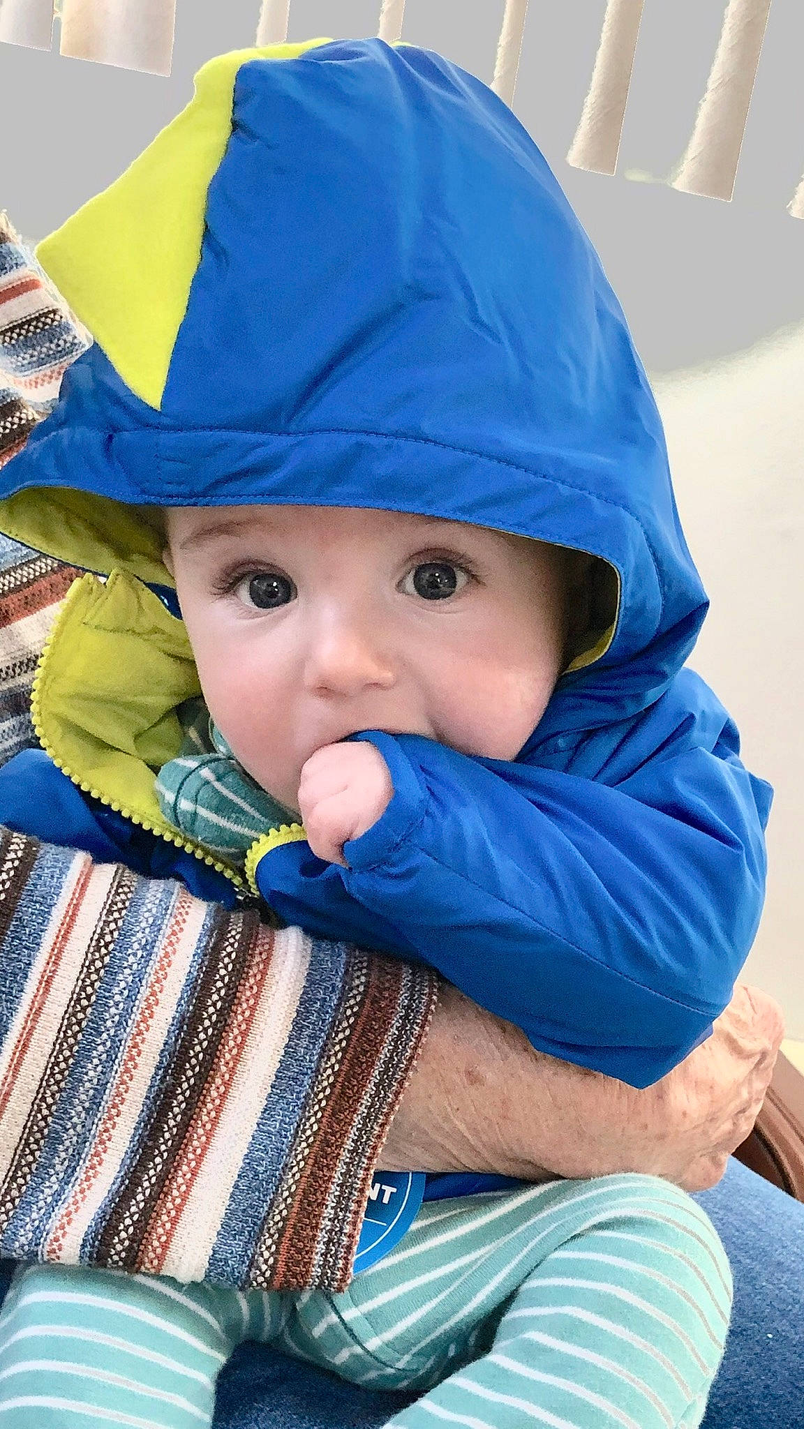 Gabe joined the competition — help win amazing prizes! baby, cheek, child, hat, headgear, outerwear, person, skin, toddler