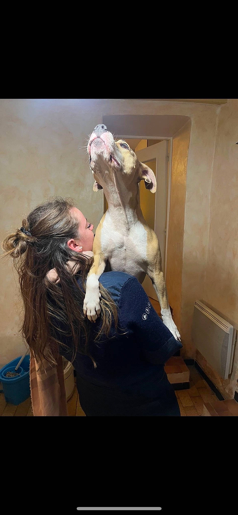 Paki participe au concours pour gagner de l'argent avec cette photo : animation, art, beard, canidae, companion_dog, event, fashion_design, felidae, fictional_character, fun, fur, happy, lion, metal, sculpture, sporting_group, statue, tourist_attraction, toy, visual_arts