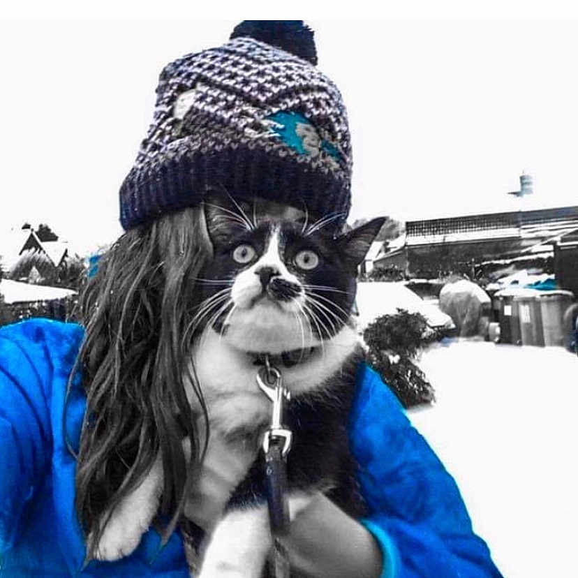Milko participe au concours pour gagner de l'argent avec cette photo : animal, background, black_and_white_cat, blue_jacket, cat, cold_weather, eyes, feline, fur, hand, hat, holding, knitted_hat, leash, outdoor, person, pet, snow, whiskers, winter_clothing