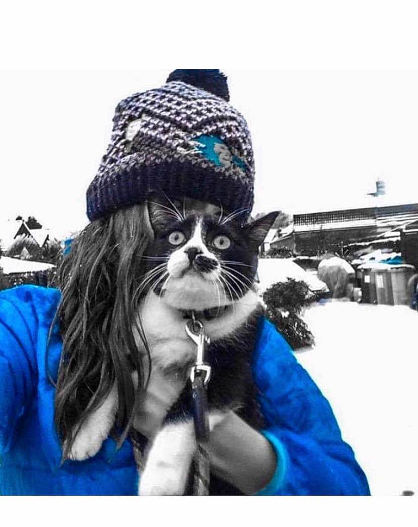 Milko participe au concours pour gagner de l'argent avec cette photo : cat, person, hat, winter_clothing, leash, outdoor, snow, blue_jacket, black_and_white_cat, knitted_hat, cold_weather, animal, pet, feline, fur, whiskers, eyes, hand, holding, background
