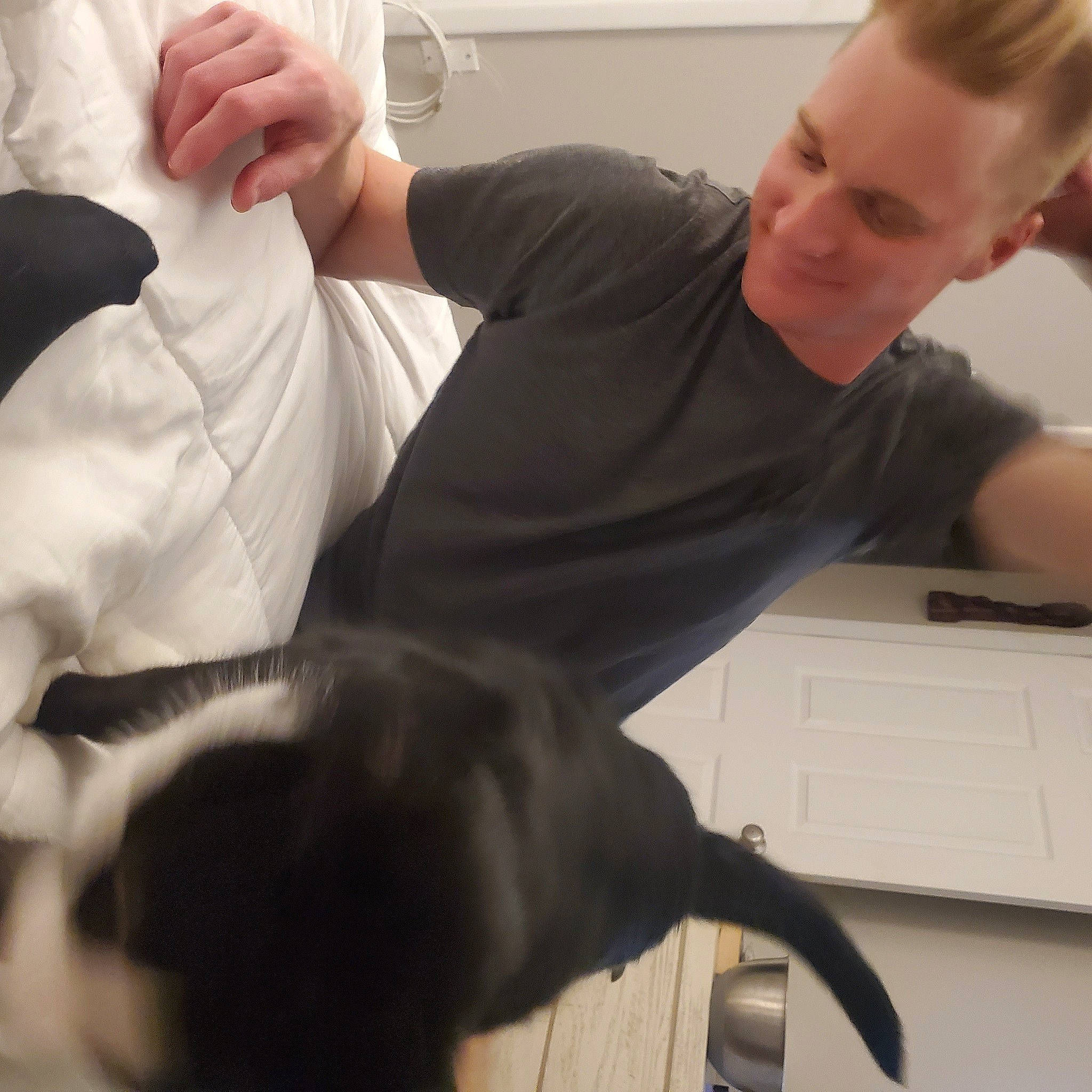 Jack joined the competition — help win amazing prizes! carnivore, chair, comfort, companion_dog, dog, dog_breed, ear, elbow, eyewear, felidae, flooring, formal_wear, fur, gesture, room, sitting, sleeve, thumb, white_collar_worker, wrist