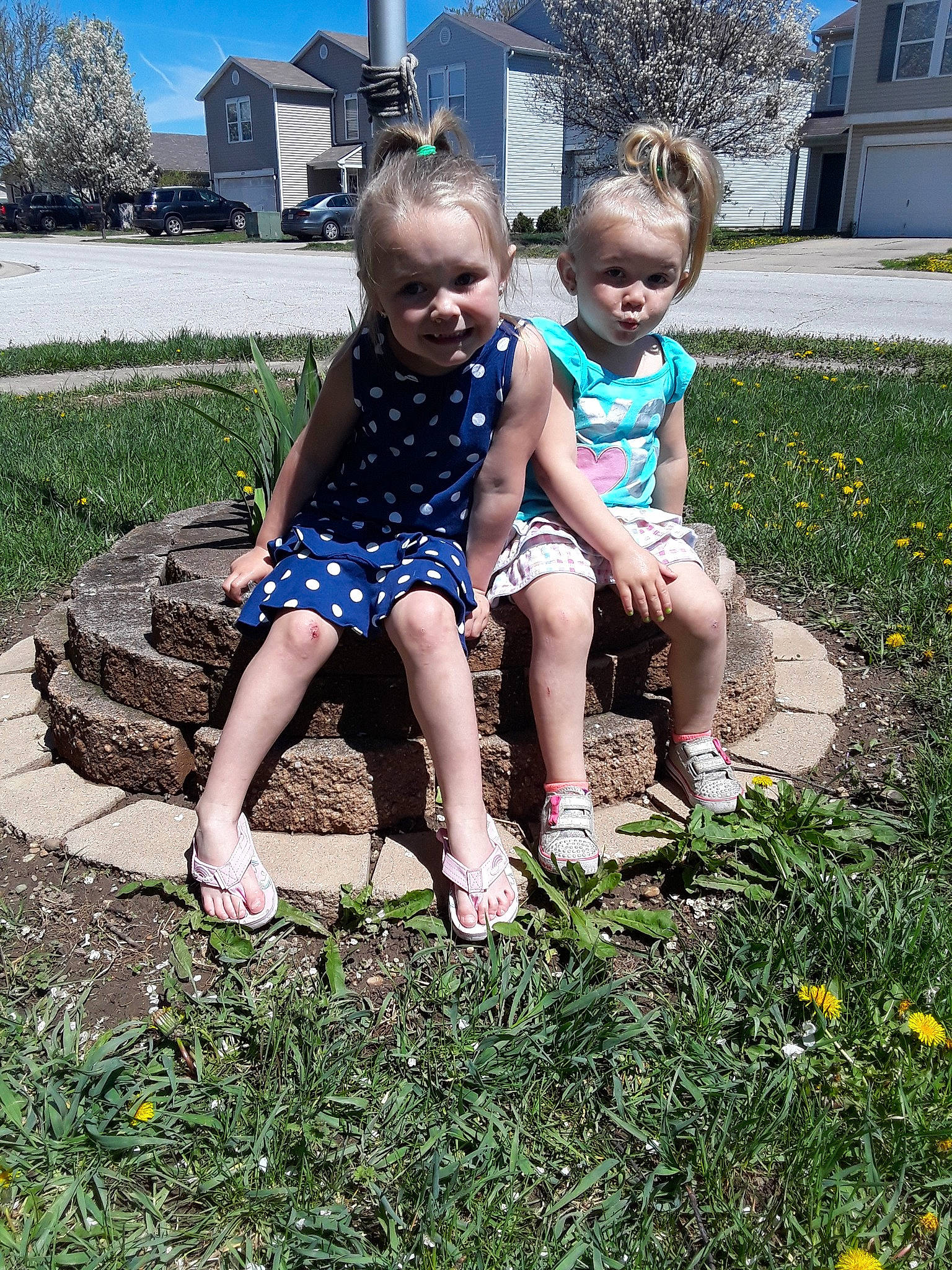 Kissalynne joined the competition — help win amazing prizes! child, fun, garden, grass, grass_family, joy, lawn, leaf, leg, people, person, plant, play, sitting, soil, spring, summer, toddler, tree, vacation