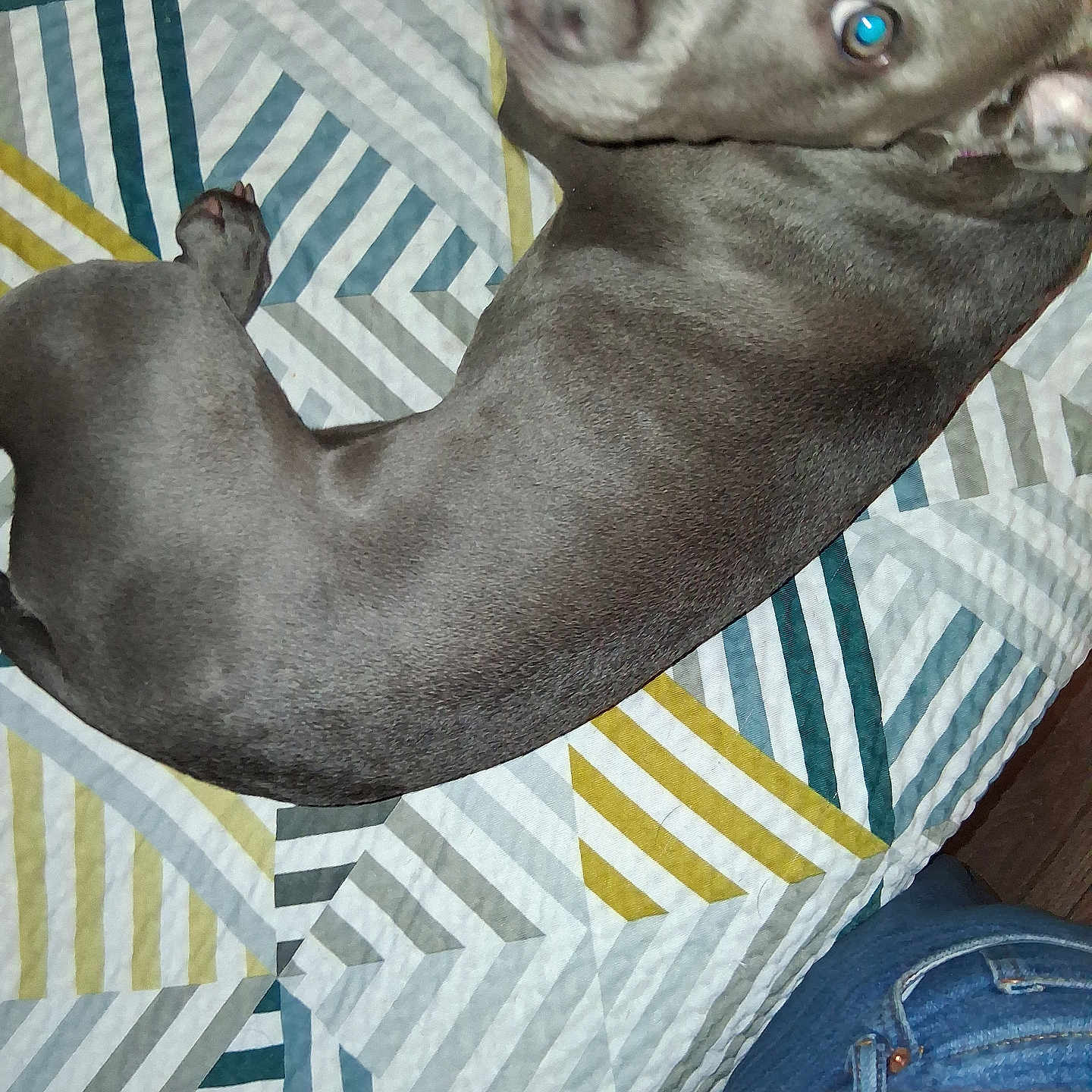 Diamond