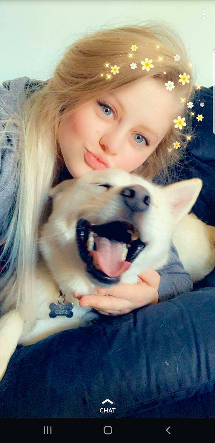 Tikaani is registered to the contest to win money with this photo: canidae, carnivore, companion_dog, dog, dog_breed, non_sporting_group, person, pomeranian, puppy, puppy_love