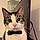 Mittens