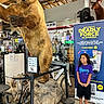 Viviana joined the competition — help win amazing prizes! child, bear, statue, indoor, store, guitar, bicycle, sign, smiling, curious, display, retail, advertisement, purple_shirt, shorts, shoes, metal_fence, rock_base, wood_ceiling, lighting