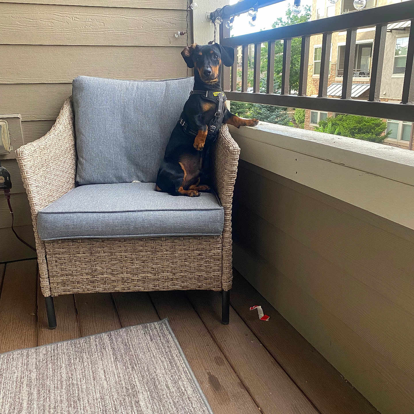 Darwin