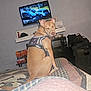 dog, service_dog, bed, quilt, indoor, television, microwave, furniture, electronics, pet, harness, brown_dog, resting, home, wall, blanket, appliance, sitting, household_items, room