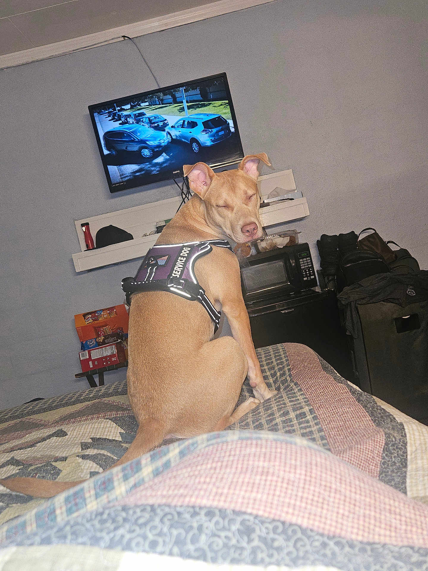 Chakah