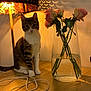 cat, kitten, tabby_cat, sitting, vase, roses, flowers, lamp, lampshade, table, wooden_table, shadow_pattern, water, charger, cable, indoor, cozy, whiskers, curious_pet, portrait