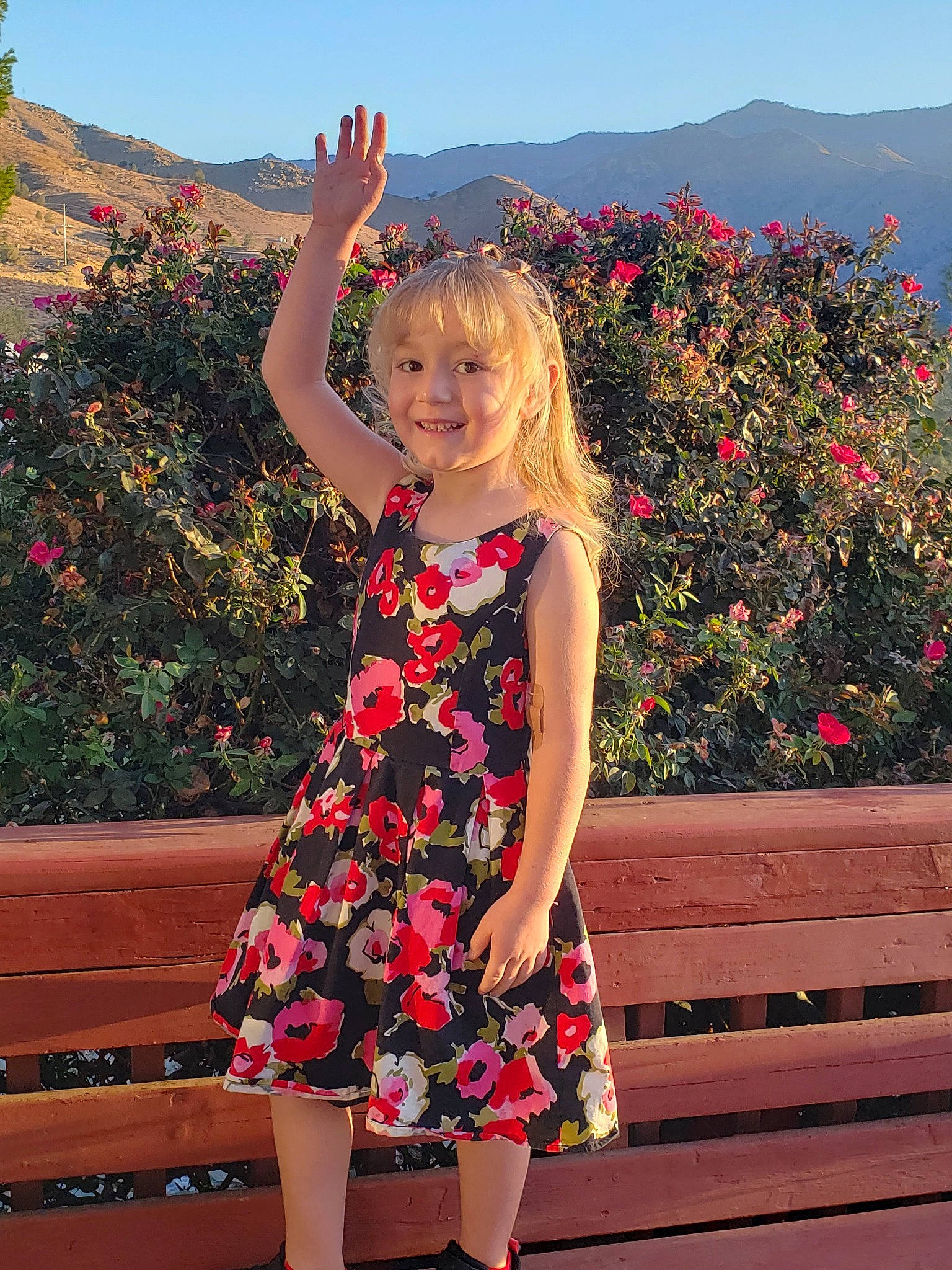 Evelynn is registered to the contest to win money with this photo: clothing, day_dress, dress, flower, happy, joy, magenta, morning, one_piece_garment, people_in_nature, person, pink, plant, red, shoulder, sky, smile, standing, summer, toddler