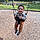 Jamir