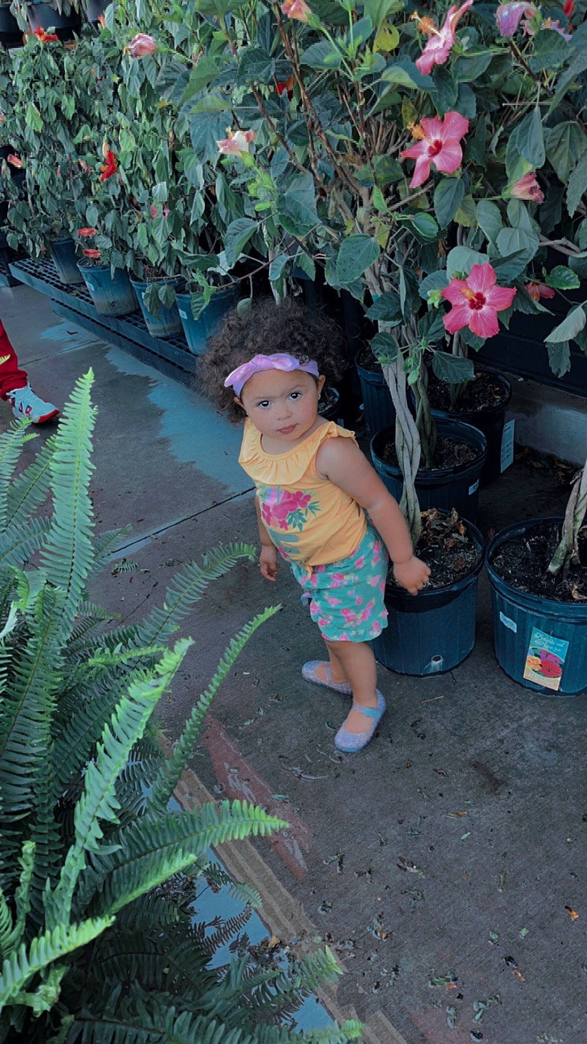 Avaya joined the competition — help win amazing prizes! annual_plant, botany, flower, flowerpot, foot, garden, grass, hat, headwear, houseplant, leisure, person, petal, pink, plant, sandal, shorts, shrub, terrestrial_plant, thigh