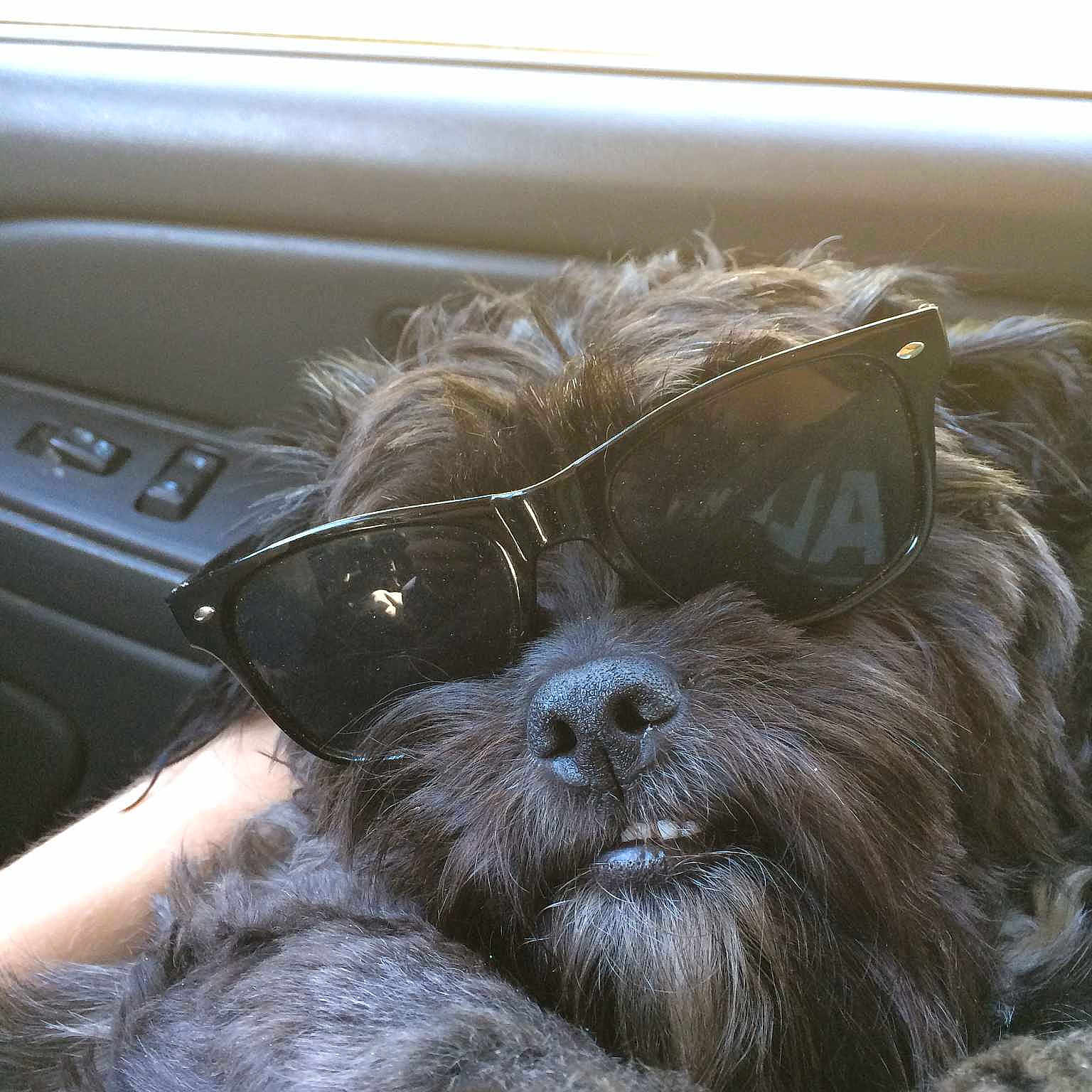 Charlie joined the competition — help win amazing prizes!