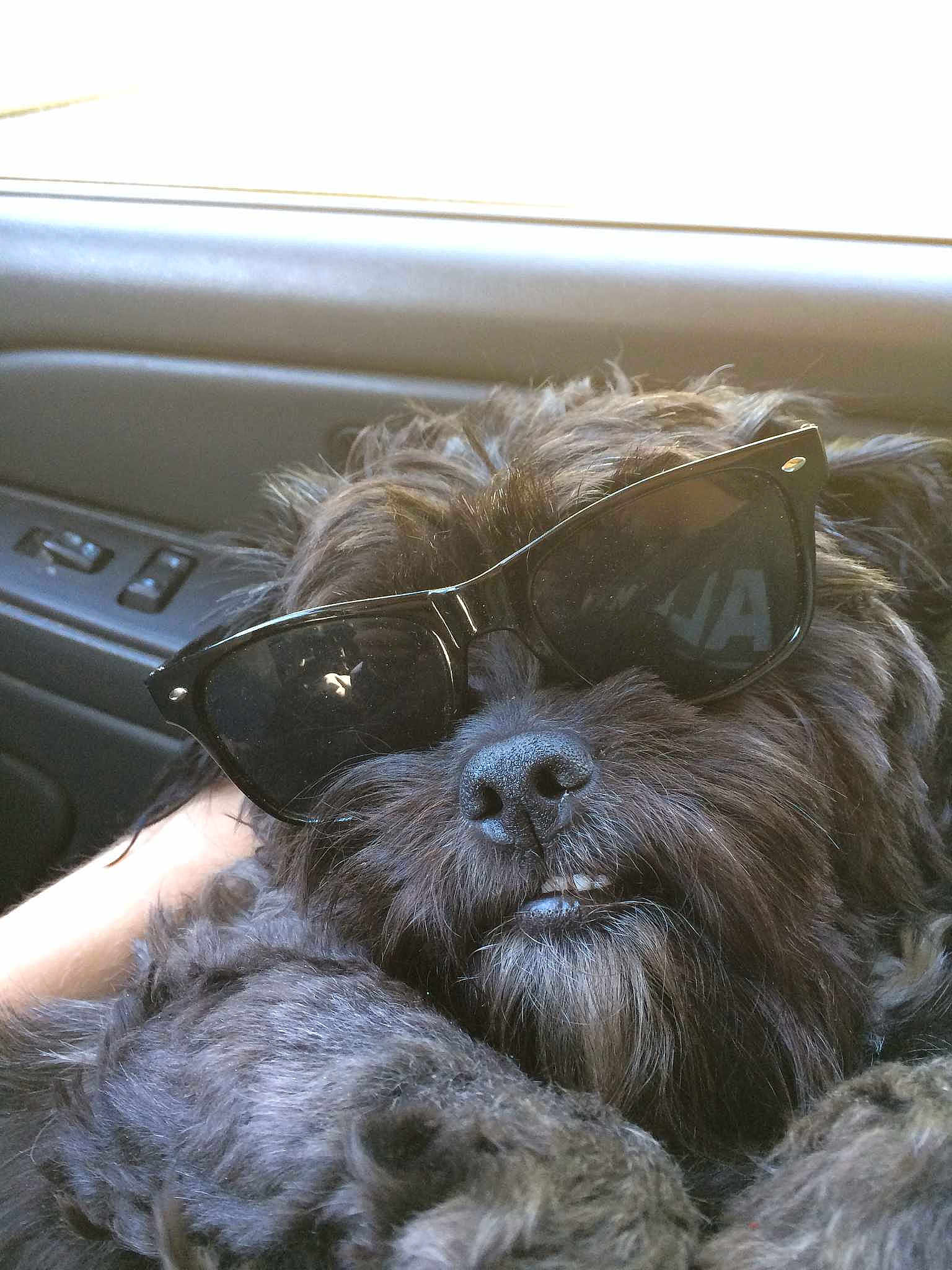 Charlie joined the competition — help win amazing prizes!